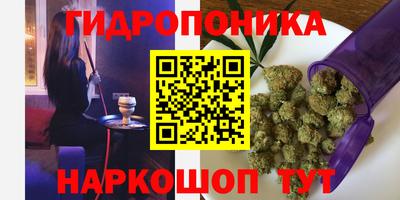 крисы Лесосибирск