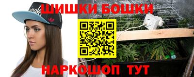 крисы Лесосибирск