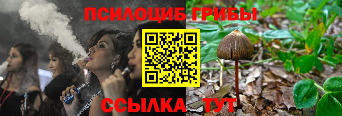 магазин  наркотиков  Вход с VPN  Щёлково  Галлюциногенные грибы прущие грибы 